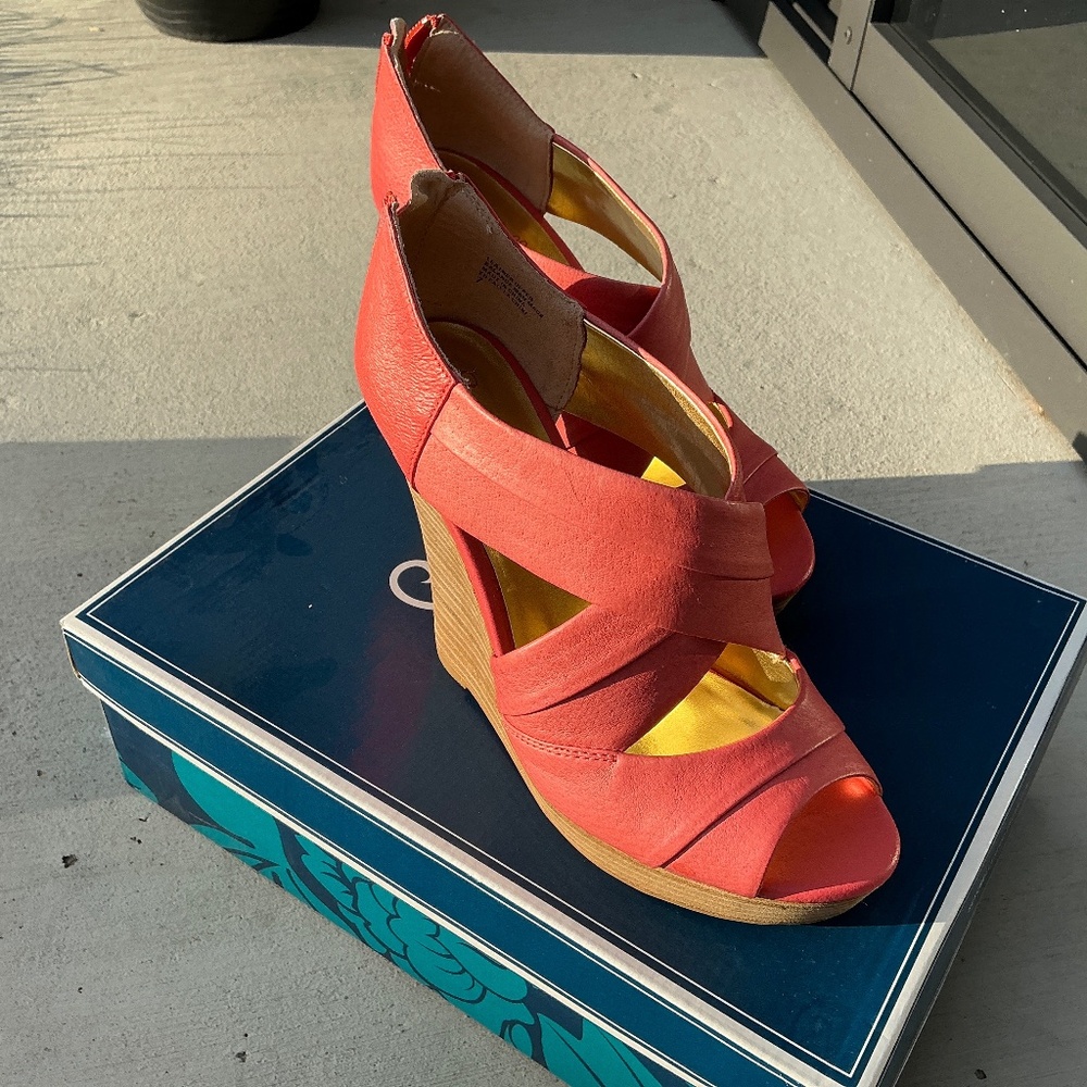 Seychelles wedge